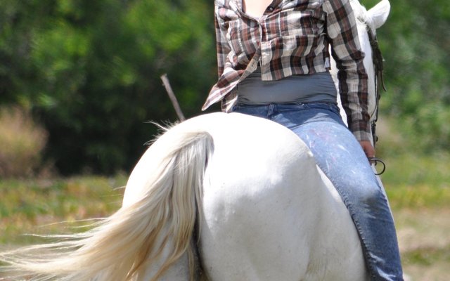 Gansbaai Perde Boersport BBos 5